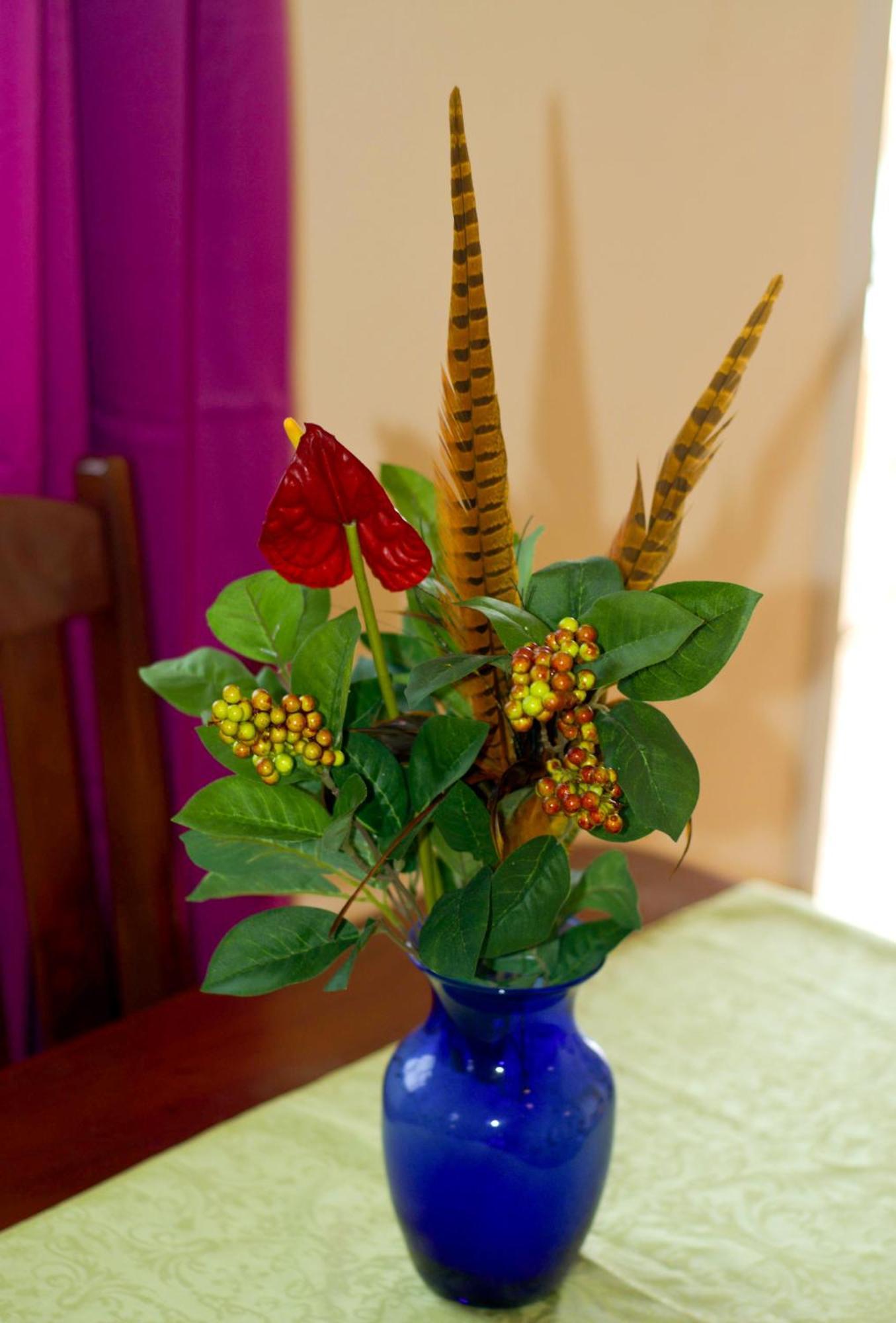 La Heliconia & Day Spa St. George's Kültér fotó